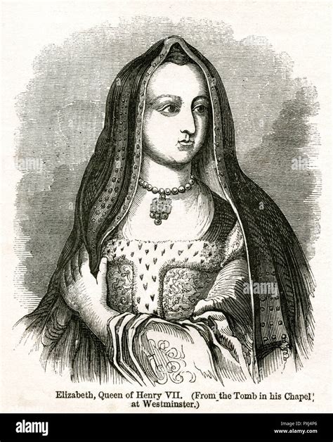 moglie di enrico vii tudor|Elisabetta Tudor: biografia e curiosità .